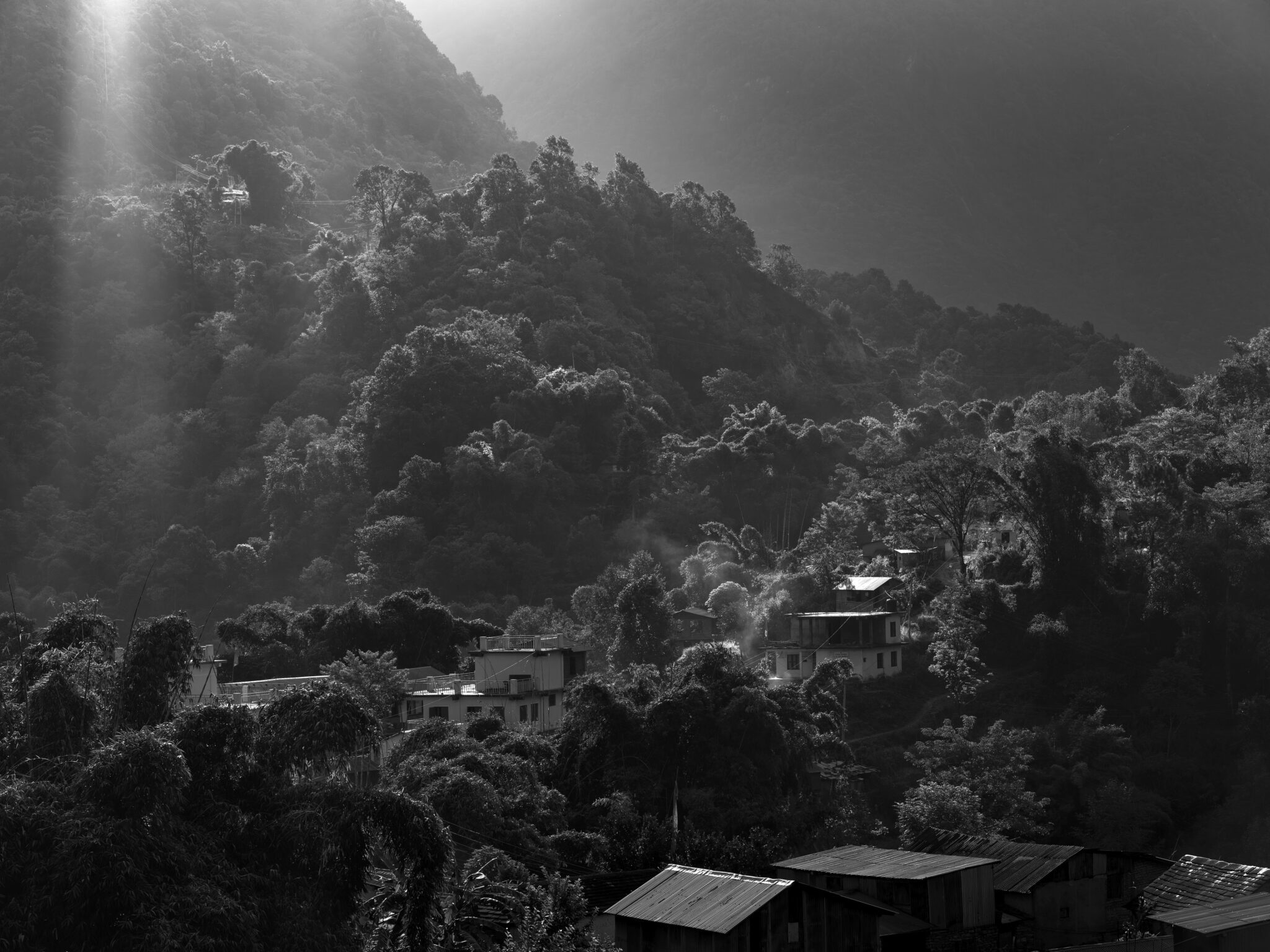 DSCF7014-2-s-sw